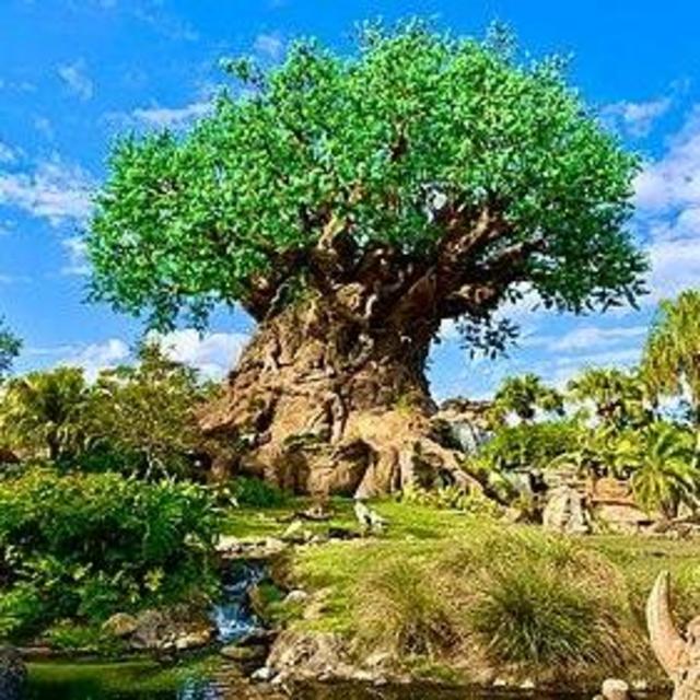 Animal Kingdom Park