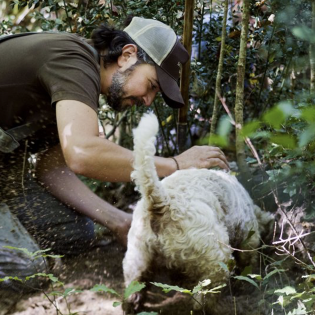 Truffle Hunting in Italy