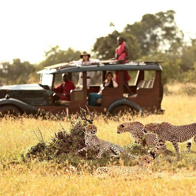 Private Game Drive in Tanzania