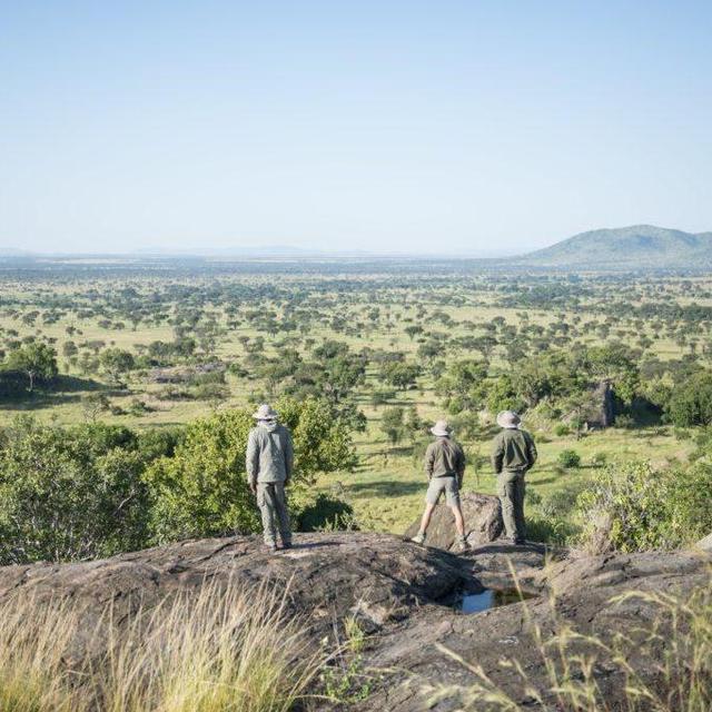 Private Safari Walk in the Serengeti