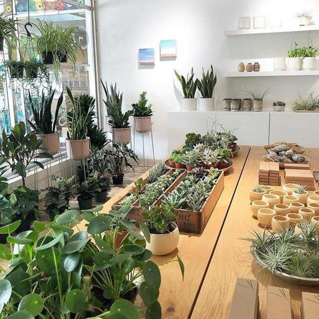 Local ATX Gift Card: Flourish