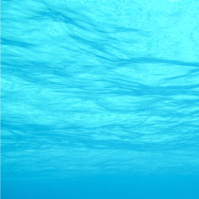 Lint LUV-R Washing Machine Plastic Discharge Filter