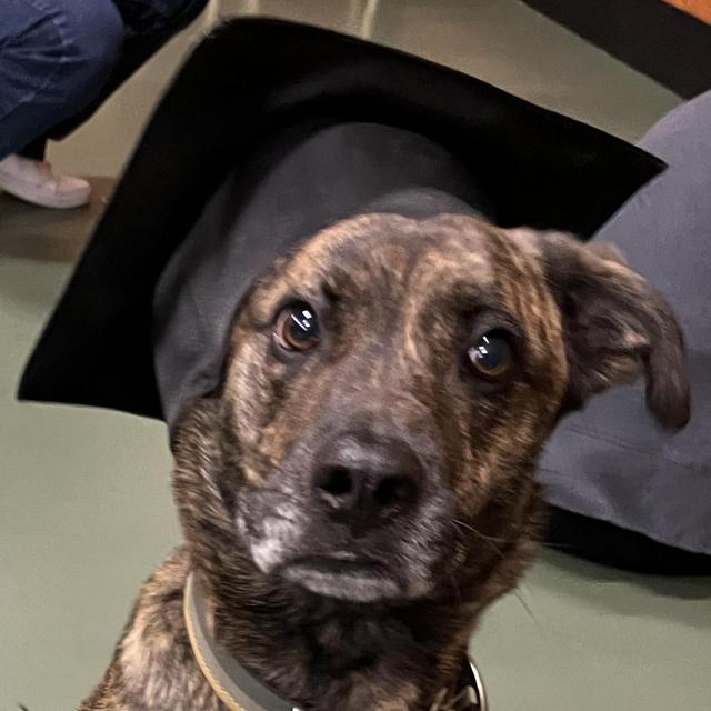 Churro's College Fund