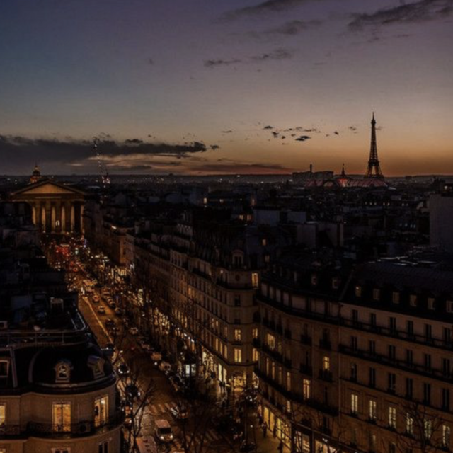 Honeymoon Dinner in Paris