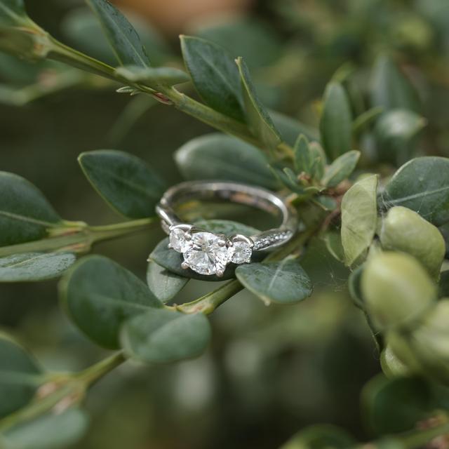 Wedding Fund