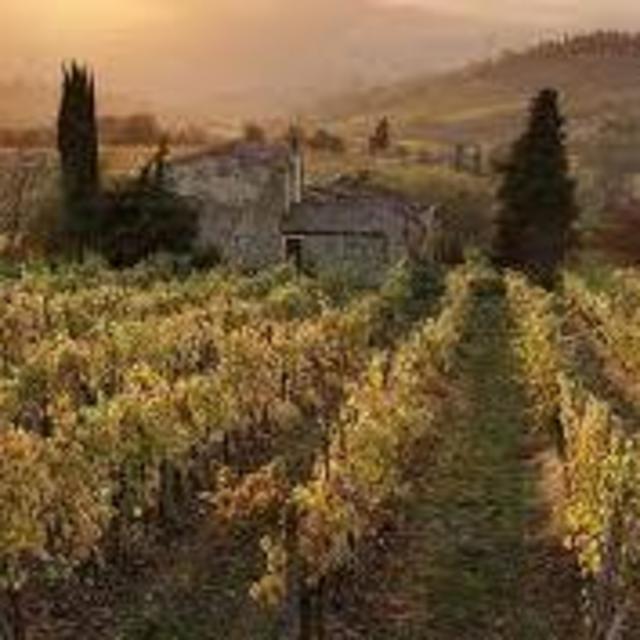 Italian Wine Tour