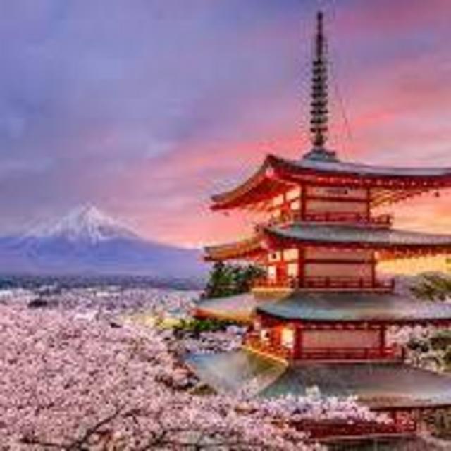 Our Japan Honeymoon Fund