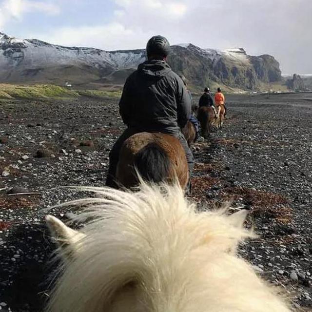 Iceland Honeymoon Adventure: Horseback Riding & Glacier Hike