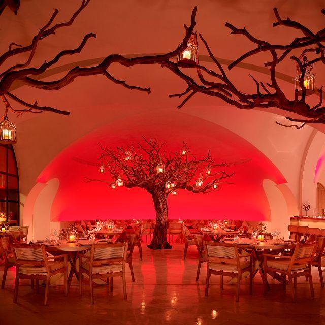 Honeymoon Dinner for Two at Arbol At Las Ventanas Al Paraiso