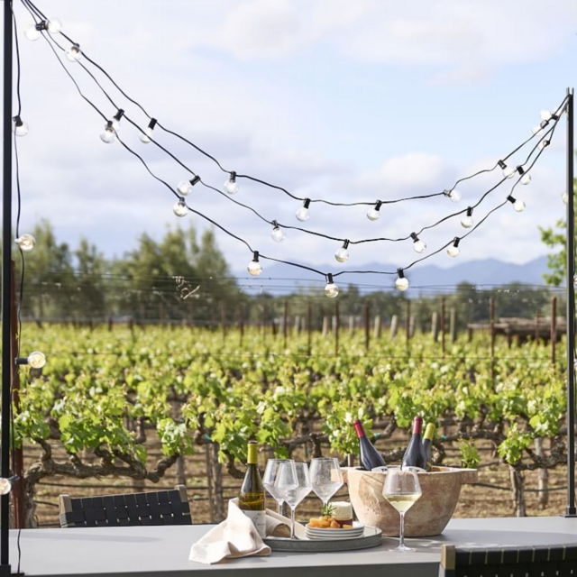 Globe Outdoor Black String Lights & Table Posts