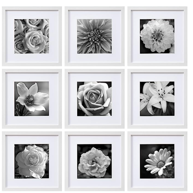 eletecpro 12x12 Picture Frames in White Set of 9, Wooden Square Frame Displays 8x8 with Mat and 12x12 without Mat, Poster Frame for Wall Hanging - Mounting Hardware Included (White, 12x12)