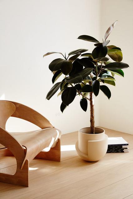 Light & Ladder Floor Planter - Sand