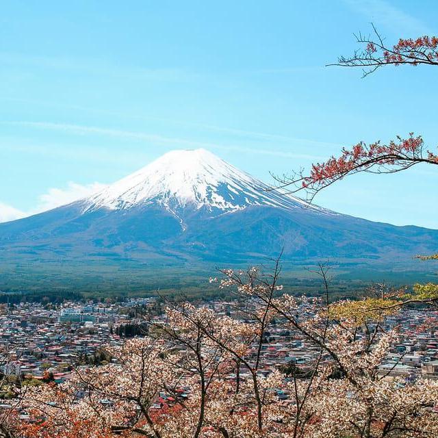 Mount Fuji Sightseeing Trip