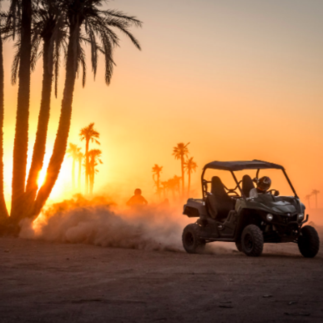 Desert Dune Buggy