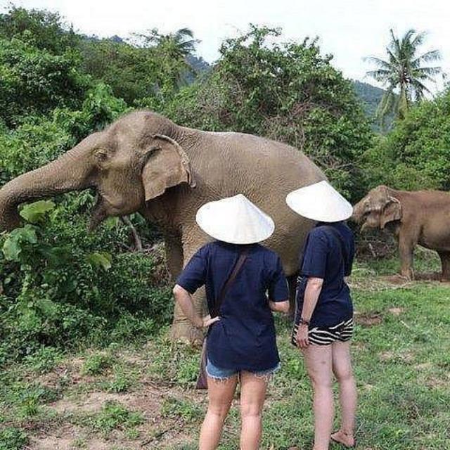 Elephant Sanctuary