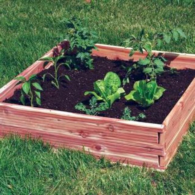 Garden Beds