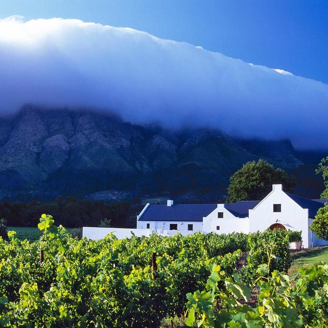 Cape Winelands Tour, South Africa