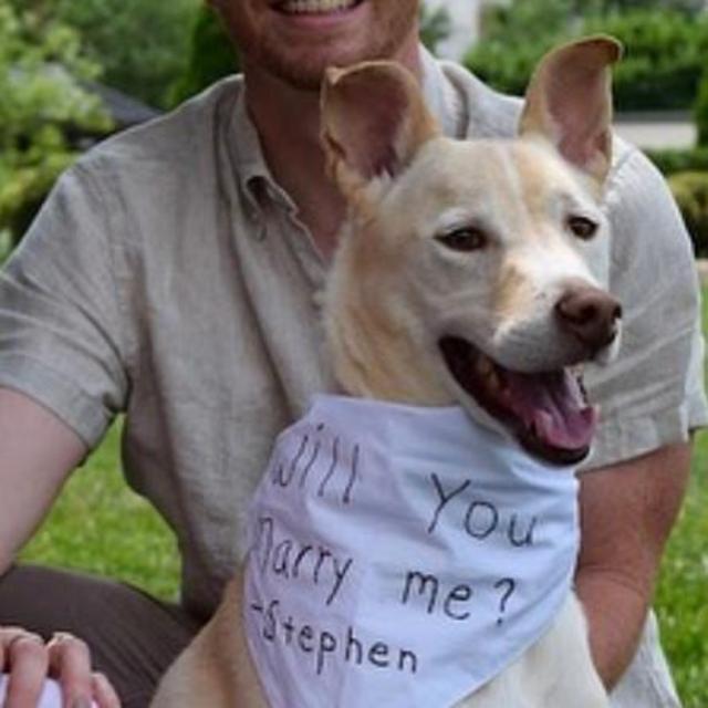 Our Newlywed Fund