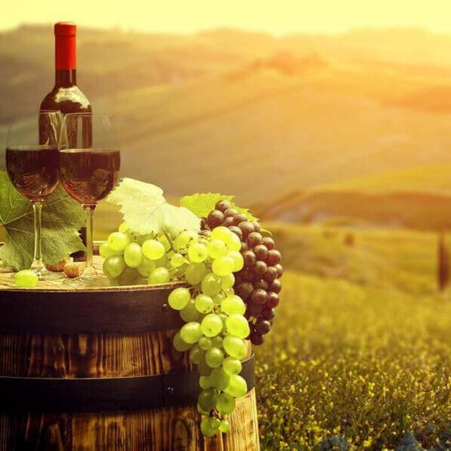 Italy Honeymoon Wine Tasting