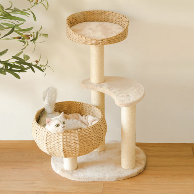Sleeping in the Bowl Cat Tree