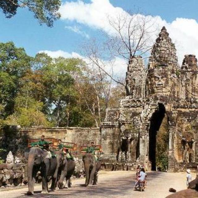 Elephant Tour of Angkor Wat