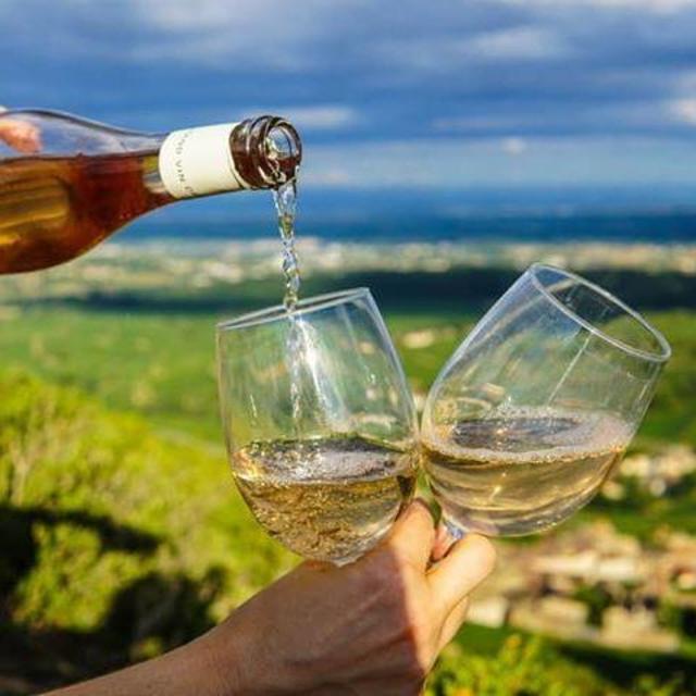 Wine Tasting at a Châteaux