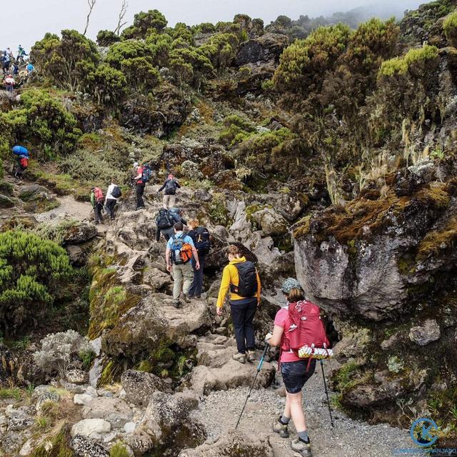 Hike up Snowy Mount Kilimanjaro