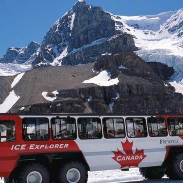 Columbia Ice Field Tour