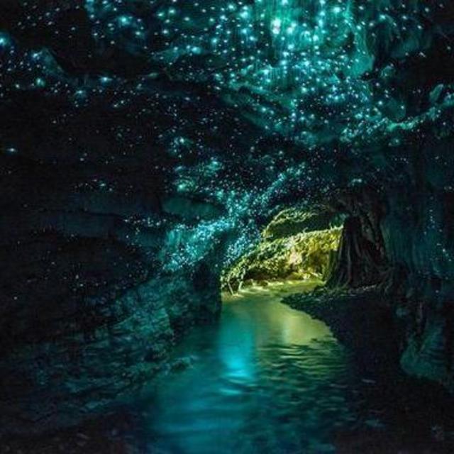Tour of Glow Worm Caves