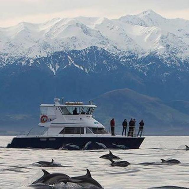 Two Nights in Kaikoura