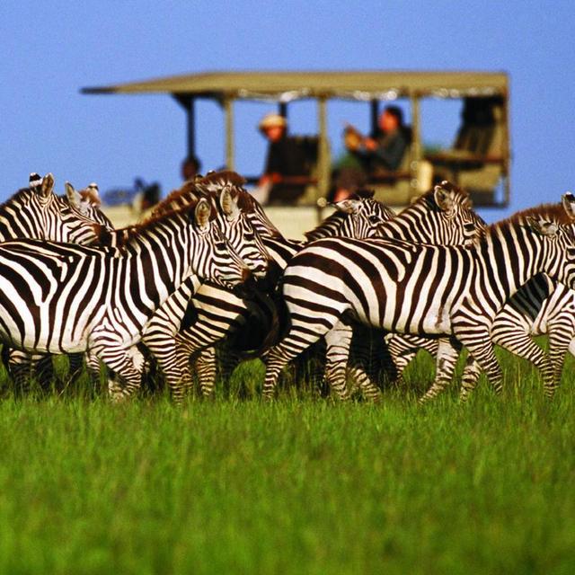 Our Honeymoon Fund to Tanzania!