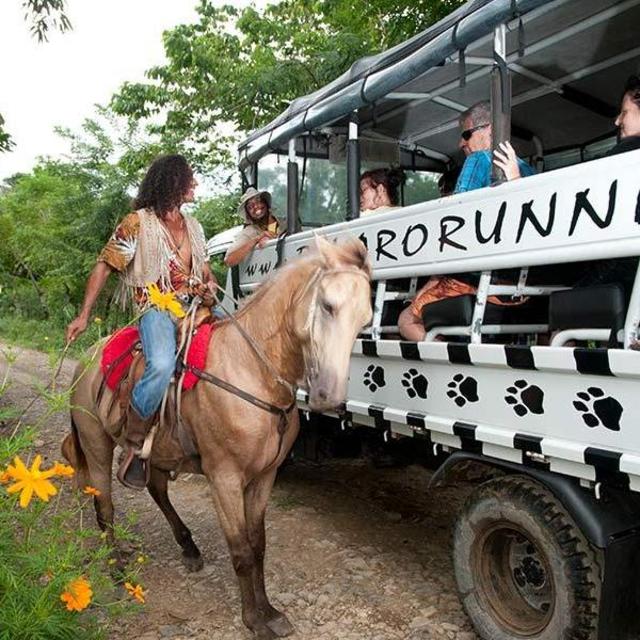 Bavaro Runners Tour- Honeymoon Activities in Dominican Republic