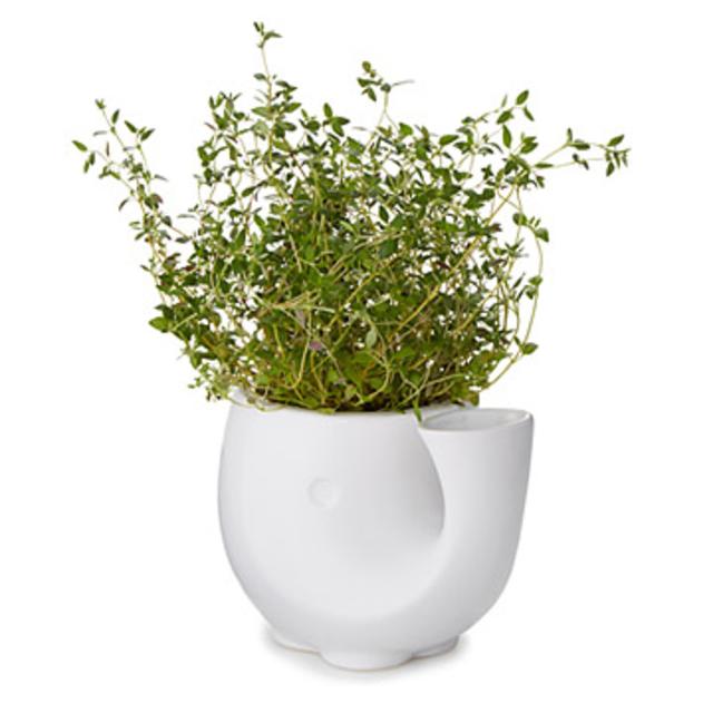 Self-Watering Eleplanter