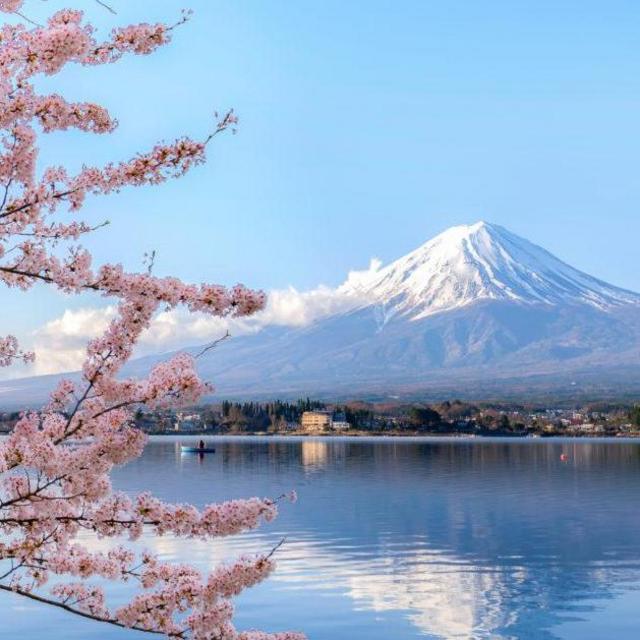 Honeymoon in Japan