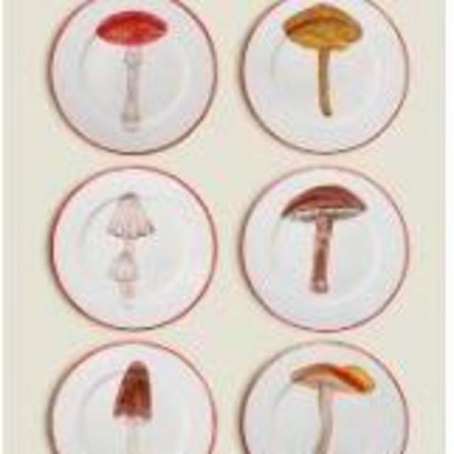 Mushrooms Set 6 plates