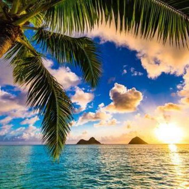 Honeymoon Fund - Hawaii