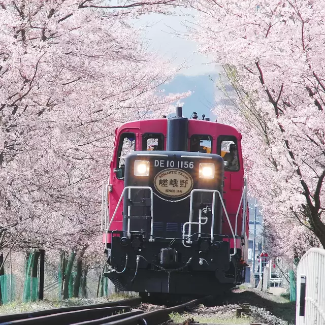 Train Ride