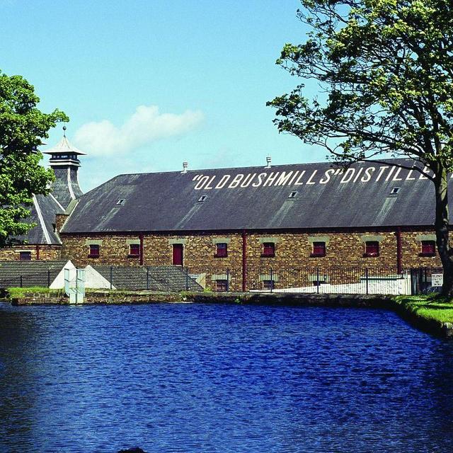 Bushmill's Distillery tour and tasting