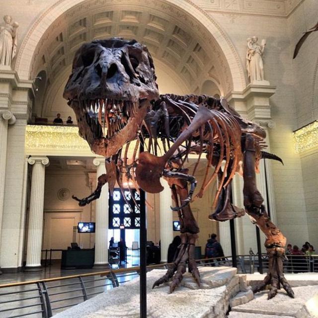 Museums and Sight Seeing and Tour Buses, Oh My!