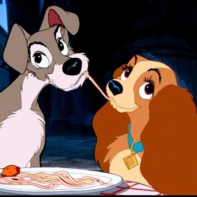 Romantic Honeymoon Dinner