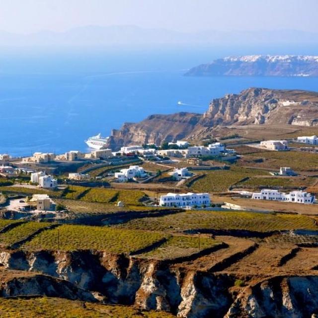 Santorini Vineyard Tour