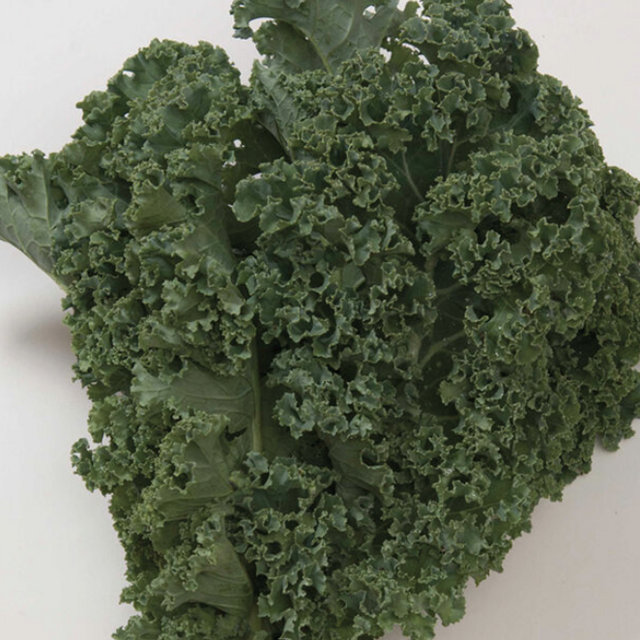 Winterbor (F1) Kale Seed