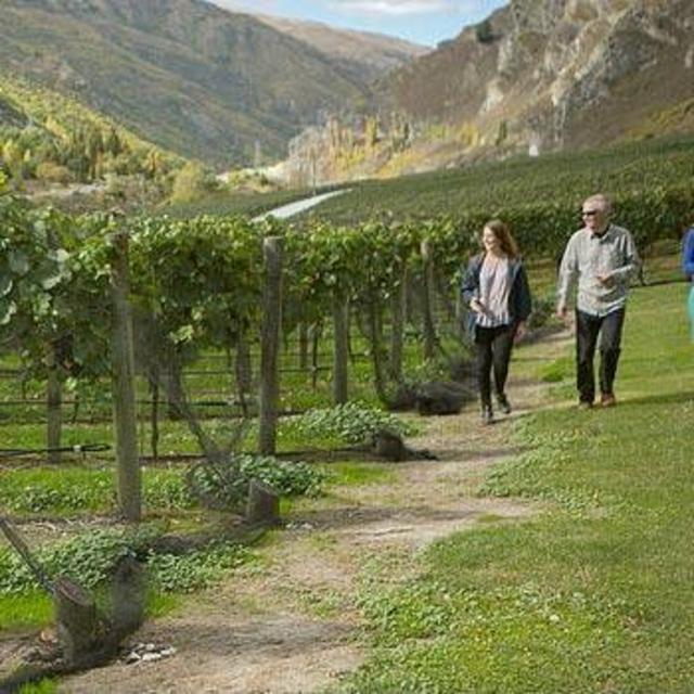 Queenstown Wine Trail, New Zealand