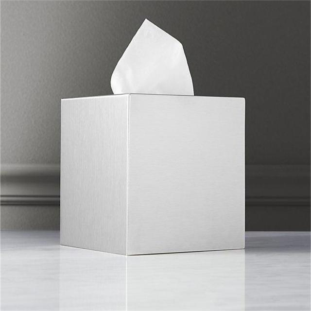 Stainless Steel Tissue Box Cover