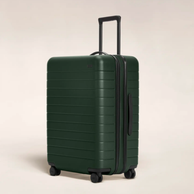 Away Luggage - Medium Flex (Green)