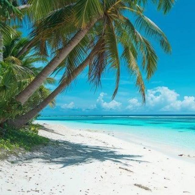 Our Tropical Honeymoon Fund