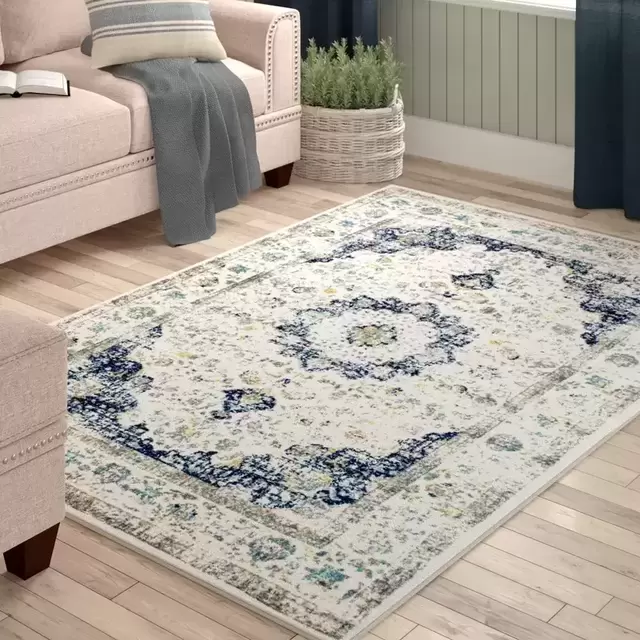 Area Rug Fund