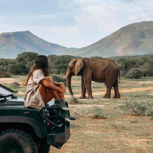 Our Dream Safari Honeymoon