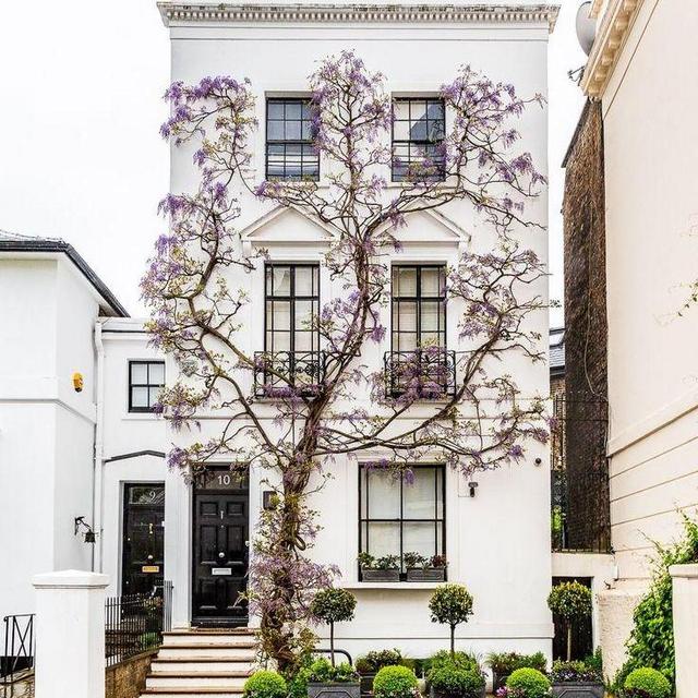 Our First Home