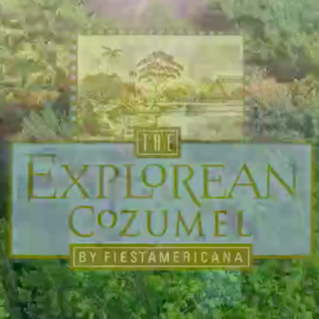 Our Honeymoon Fund to Cozumel